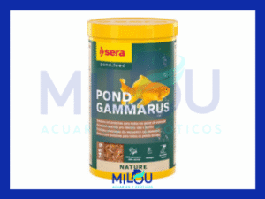 POND GAMMARUS SERA
