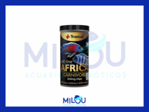 Africa carnivore sinking chips Talla S