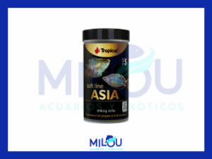 Asia sinking sticks Talla S