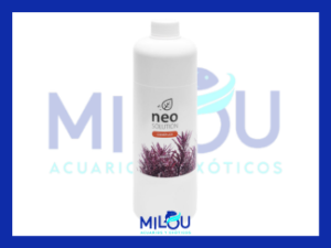 NEO Solution Complex