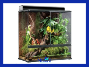 Terrariofilia