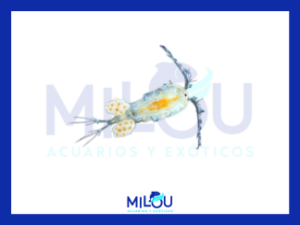 COPEPODOS 90ml