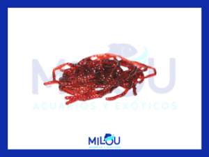 LARVA ROJA 90ml