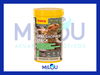 GRASSHOPPER SNACK SERA