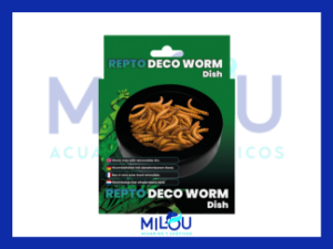 Plato para Gusanos Repto Deco