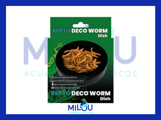 Plato para Gusanos Repto Deco